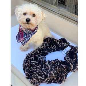 NWT: BP leopard print scarf